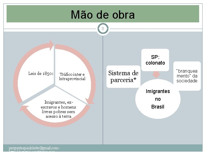 Mão de obra 8 SP: colonato Leis de 1850: Tráfico inter e lntraprovincial “branquea