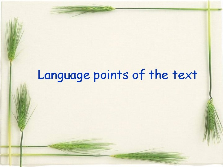 Language points of the text 