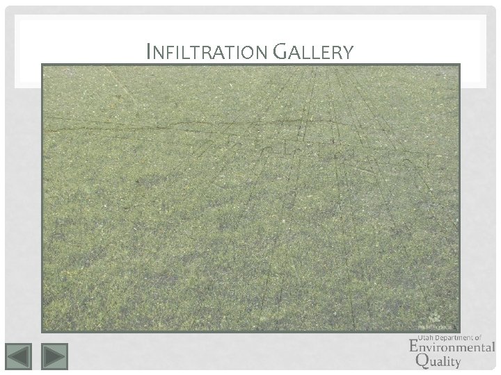 INFILTRATION GALLERY 