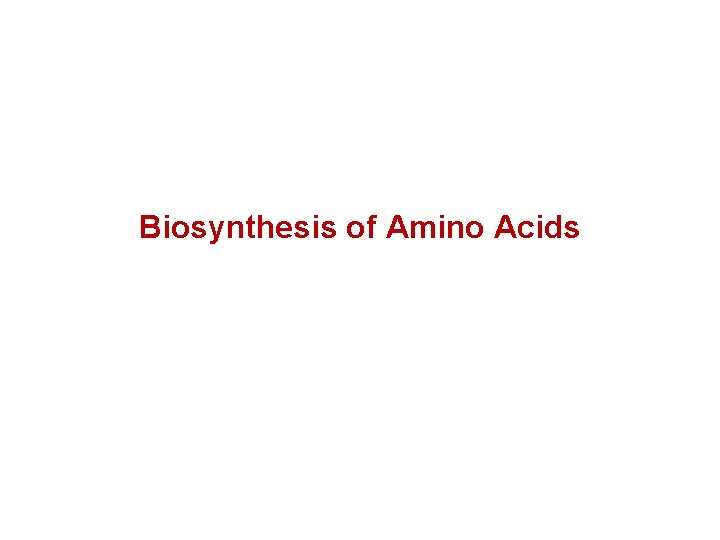 Biosynthesis of Amino Acids 