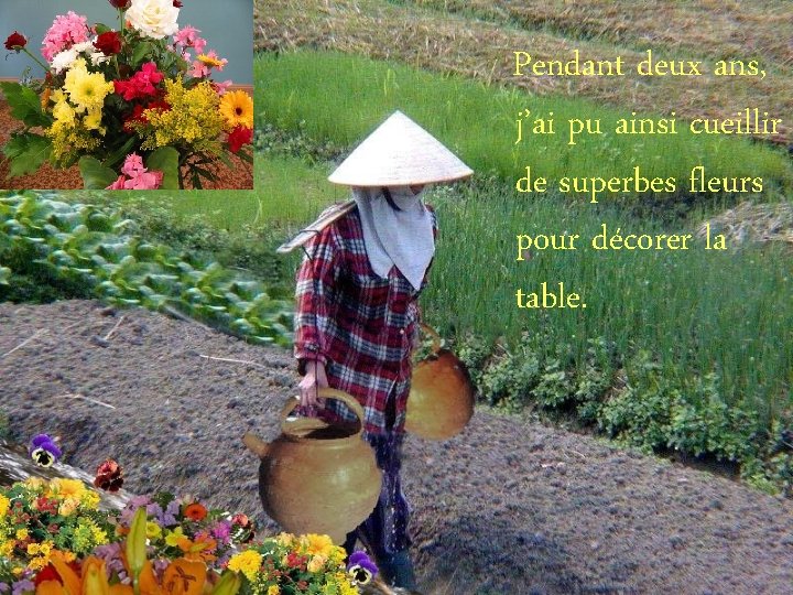 Pendant deux ans, j’ai pu ainsi cueillir de superbes fleurs pour décorer la table.