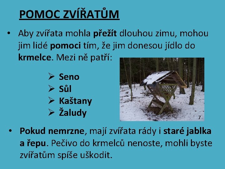 POMOC ZVÍŘATŮM • Aby zvířata mohla přežít dlouhou zimu, mohou jim lidé pomoci tím,