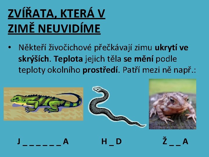 ZVÍŘATA, KTERÁ V ZIMĚ NEUVIDÍME • Někteří živočichové přečkávají zimu ukrytí ve skrýších. Teplota