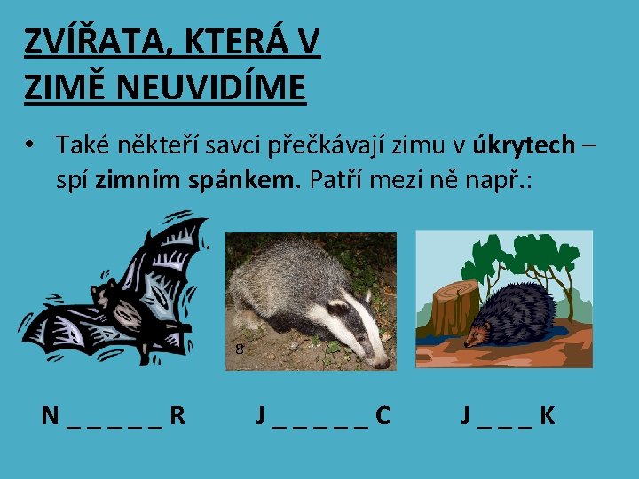 ZVÍŘATA, KTERÁ V ZIMĚ NEUVIDÍME • Také někteří savci přečkávají zimu v úkrytech –
