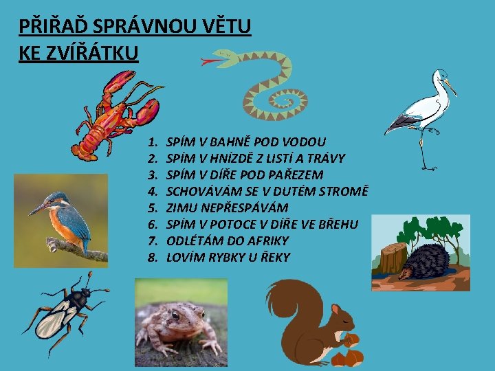 PŘIŘAĎ SPRÁVNOU VĚTU KE ZVÍŘÁTKU 1. 2. 3. 4. 5. 6. 7. 8. SPÍM