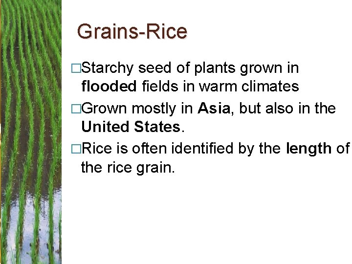 Grains-Rice �Starchy seed of plants grown in flooded fields in warm climates �Grown mostly