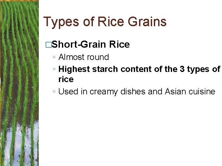 Types of Rice Grains �Short-Grain Rice ◦ Almost round ◦ Highest starch content of