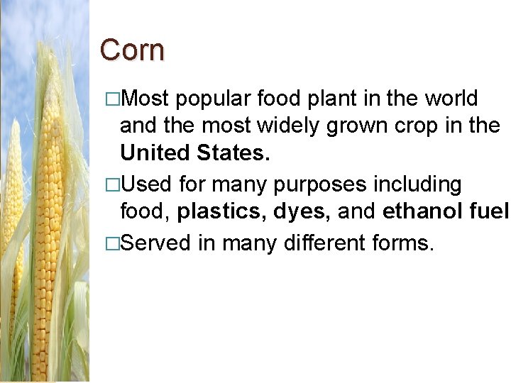 Corn �Most popular food plant in the world and the most widely grown crop
