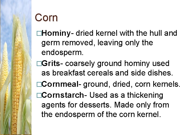 Corn �Hominy- dried kernel with the hull and germ removed, leaving only the endosperm.