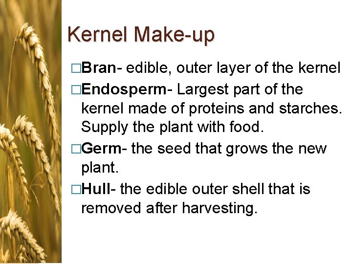 Kernel Make-up �Bran- edible, outer layer of the kernel �Endosperm- Largest part of the