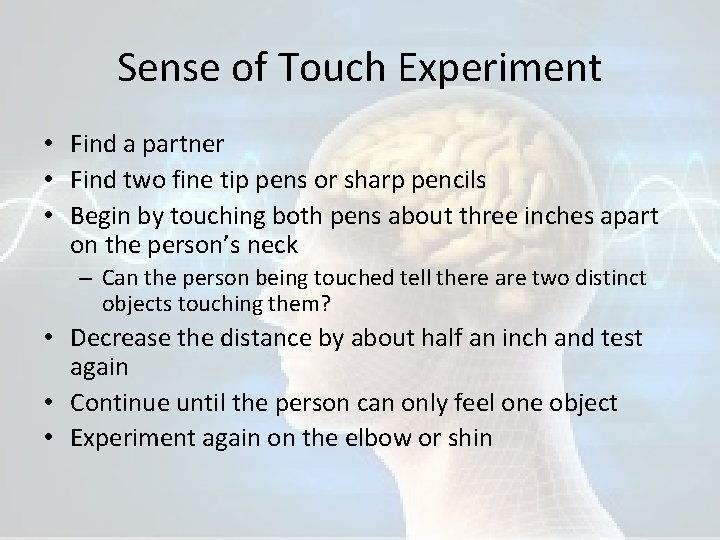 Sense of Touch Experiment • Find a partner • Find two fine tip pens