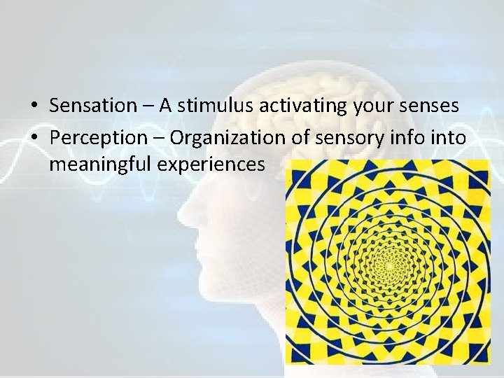  • Sensation – A stimulus activating your senses • Perception – Organization of