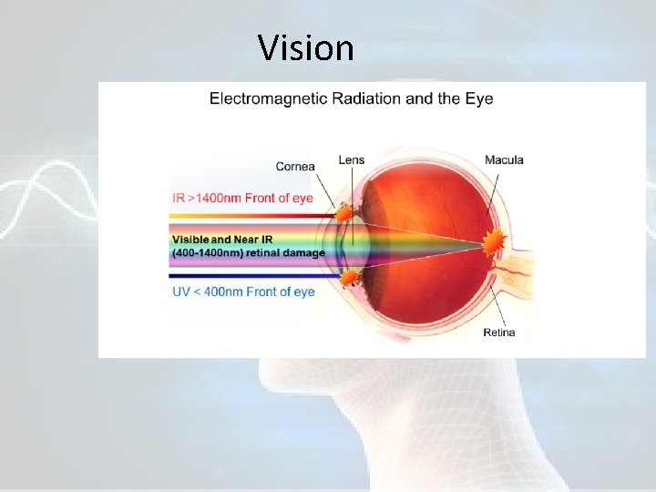 Vision 