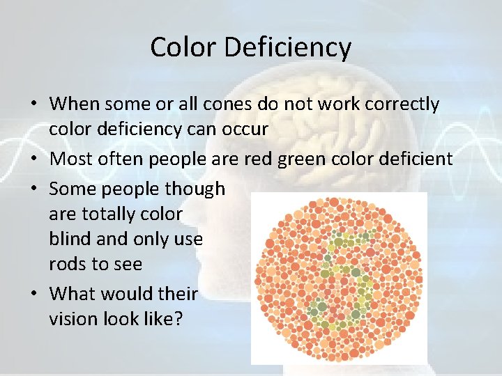 Color Deficiency • When some or all cones do not work correctly color deficiency
