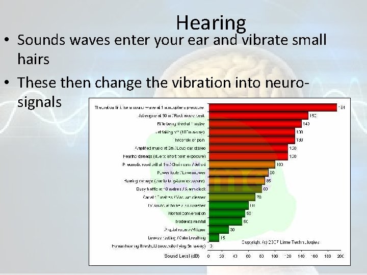 Hearing • Sounds waves enter your ear and vibrate small hairs • These then