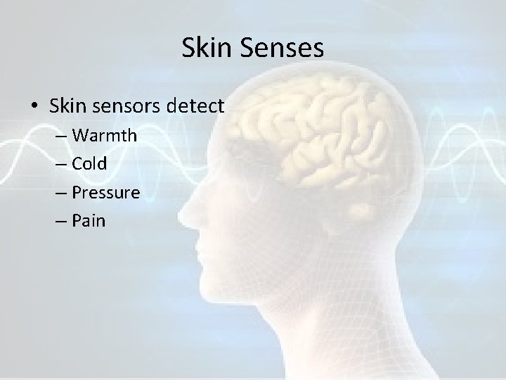 Skin Senses • Skin sensors detect – Warmth – Cold – Pressure – Pain