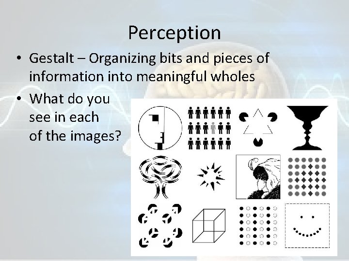 Perception • Gestalt – Organizing bits and pieces of information into meaningful wholes •