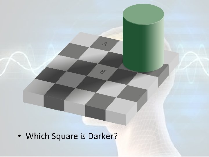  • Which Square is Darker? 