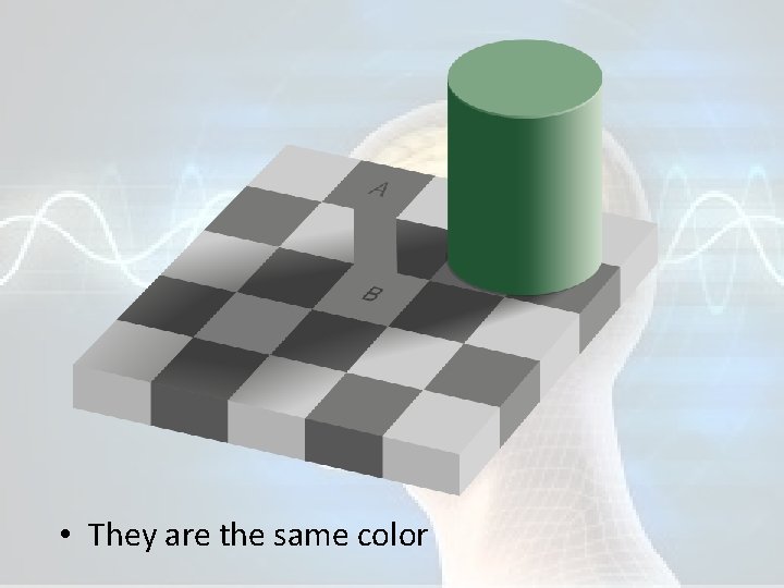  • They are the same color 