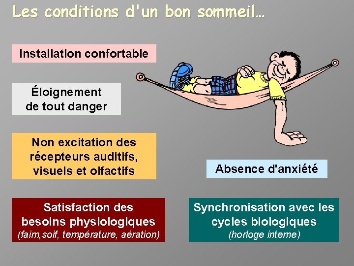 Les conditions d'un bon sommeil… Installation confortable Éloignement de tout danger Non excitation des