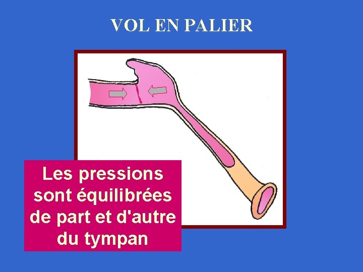 VOL EN PALIER Les pressions sont équilibrées de part et d'autre du tympan 