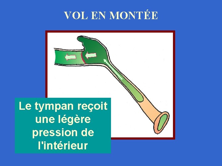 VOL EN MONTÉE Le tympan reçoit une légère pression de l'intérieur 