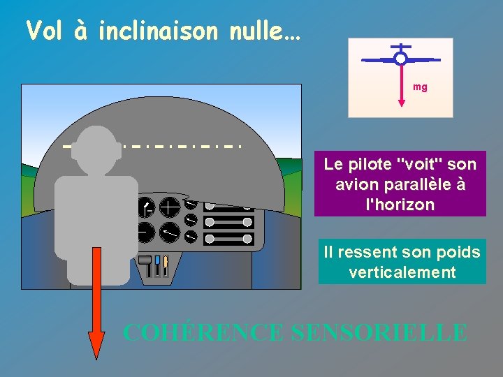 Vol à inclinaison nulle… mg Le pilote "voit" son avion parallèle à l'horizon Il