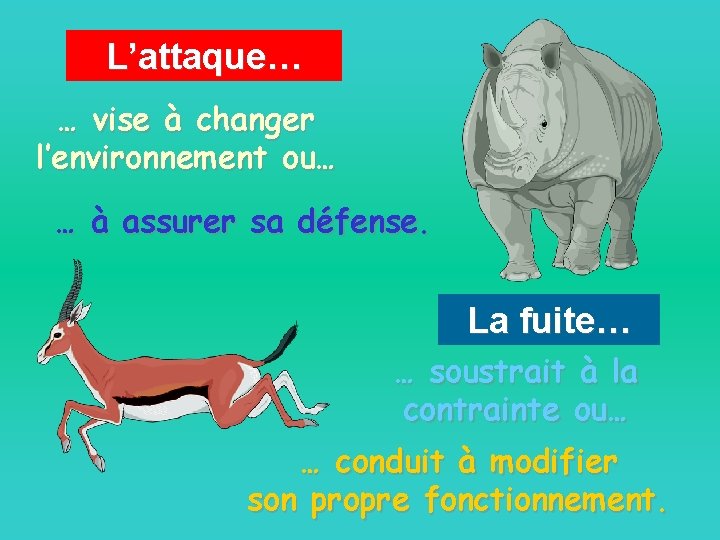 L’attaque… … vise à changer l’environnement ou… … à assurer sa défense. La fuite…