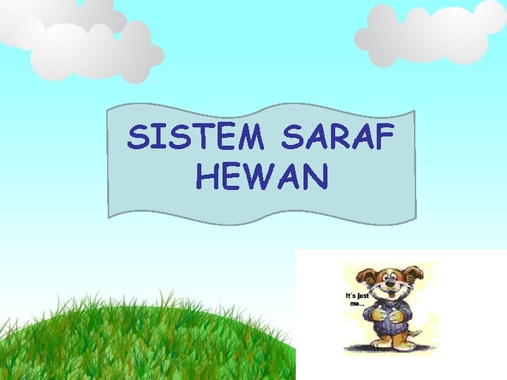 SISTEM SARAF HEWAN 