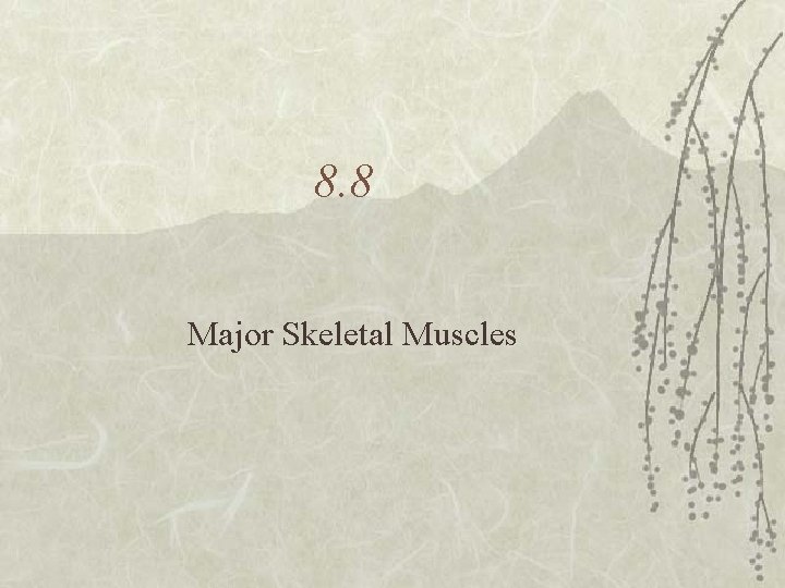 8. 8 Major Skeletal Muscles 