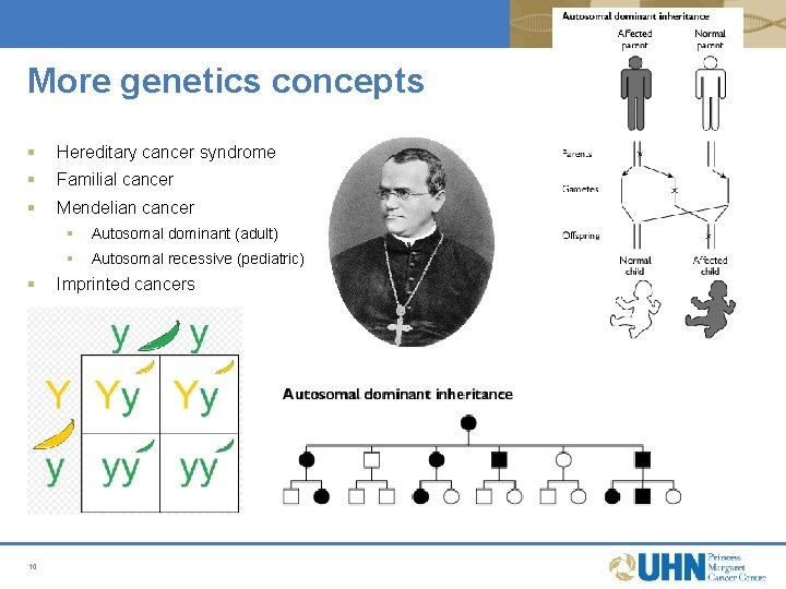More genetics concepts § Hereditary cancer syndrome § Familial cancer § Mendelian cancer § More genetics concepts § Hereditary cancer syndrome § Familial cancer § Mendelian cancer §