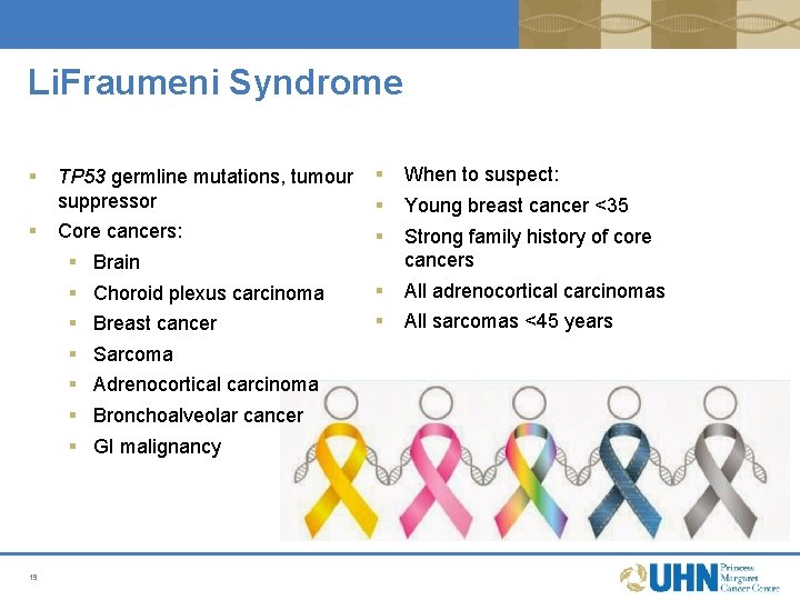 Li. Fraumeni Syndrome § § TP 53 germline mutations, tumour § suppressor § Core Li. Fraumeni Syndrome § § TP 53 germline mutations, tumour § suppressor § Core