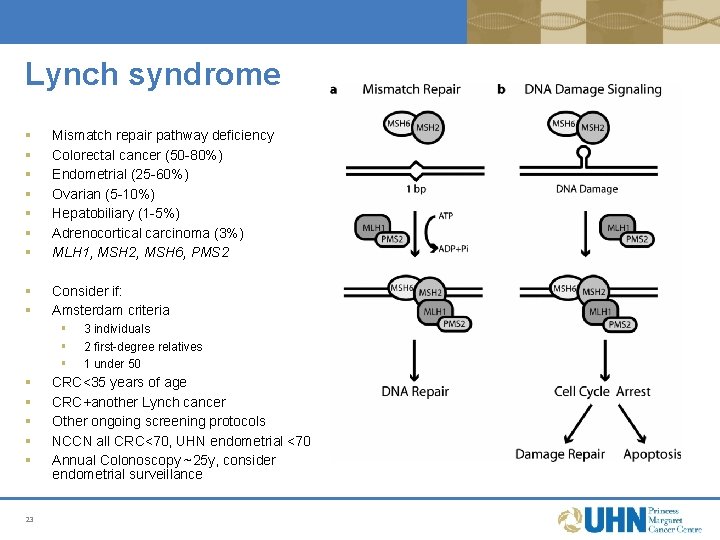 Lynch syndrome § § § § Mismatch repair pathway deficiency Colorectal cancer (50 -80%) Lynch syndrome § § § § Mismatch repair pathway deficiency Colorectal cancer (50 -80%)