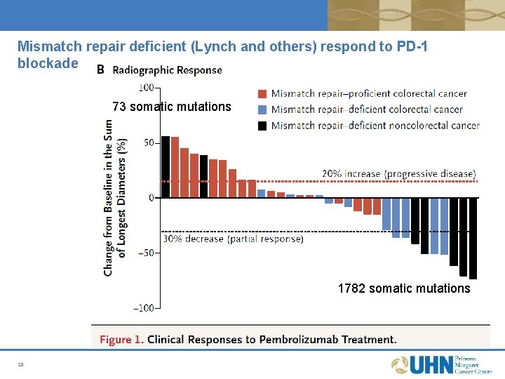 Mismatch repair deficient (Lynch and others) respond to PD-1 blockade 73 somatic mutations 1782 Mismatch repair deficient (Lynch and others) respond to PD-1 blockade 73 somatic mutations 1782
