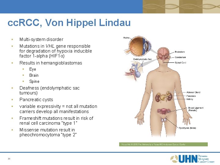 cc. RCC, Von Hippel Lindau § § § Multi-system disorder Mutations in VHL gene cc. RCC, Von Hippel Lindau § § § Multi-system disorder Mutations in VHL gene