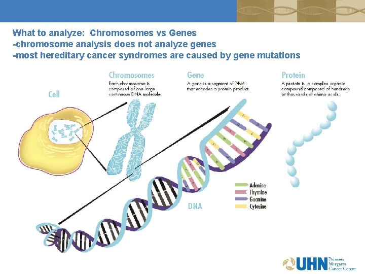What to analyze: Chromosomes vs Genes -chromosome analysis does not analyze genes -most hereditary What to analyze: Chromosomes vs Genes -chromosome analysis does not analyze genes -most hereditary