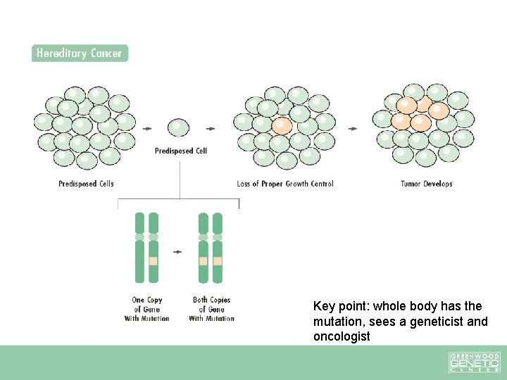 Key point: whole body has the mutation, sees a geneticist and oncologist Key point: whole body has the mutation, sees a geneticist and oncologist