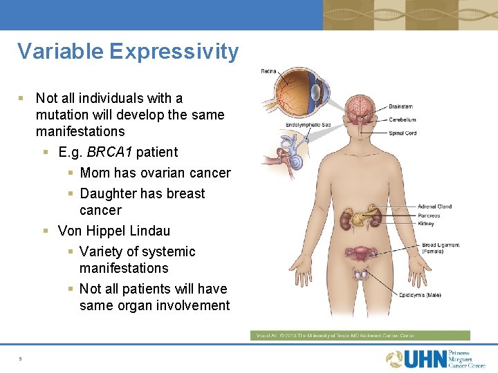 Variable Expressivity § Not all individuals with a mutation will develop the same manifestations Variable Expressivity § Not all individuals with a mutation will develop the same manifestations