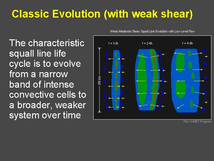 Classic Evolution (with weak shear) The characteristic squall line life cycle is to evolve