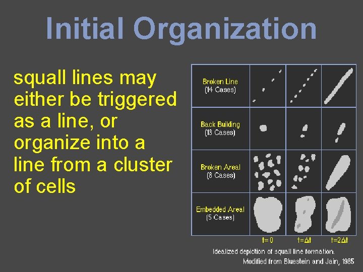 Initial Organization squall lines may either be triggered as a line, or organize into