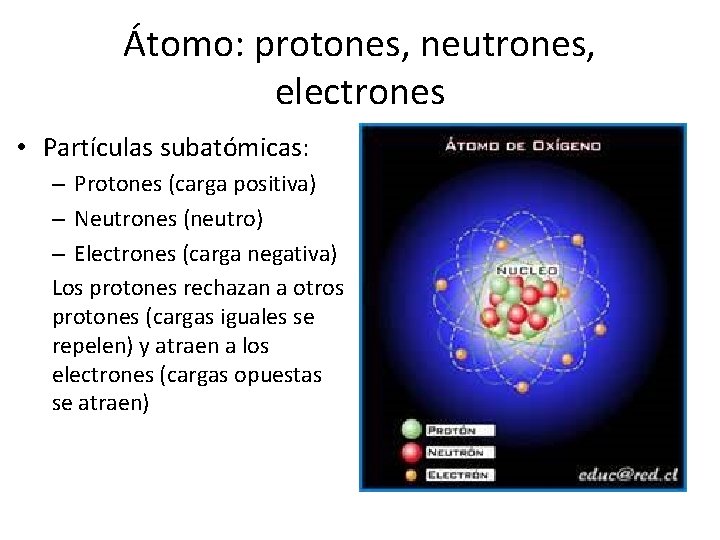 Átomo: protones, neutrones, electrones • Partículas subatómicas: – Protones (carga positiva) – Neutrones (neutro)