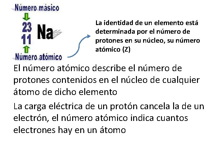 La identidad de un elemento está determinada por el número de protones en su