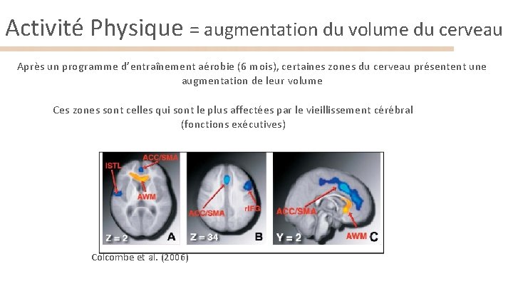 Activité Physique = augmentation du volume du cerveau Après un programme d’entraînement aérobie (6