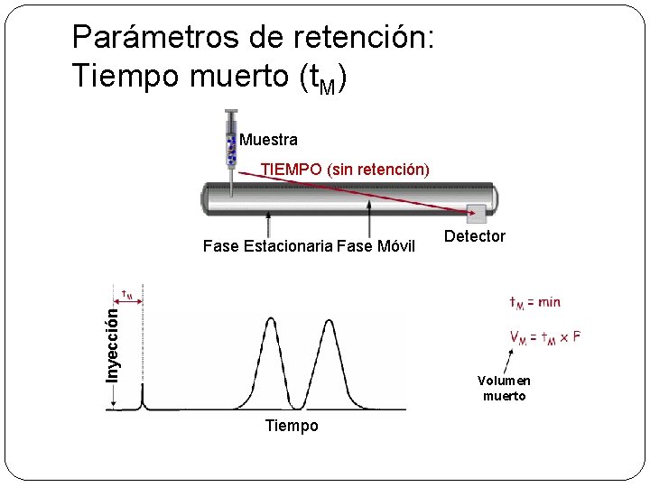 Parámetros de retención: Tiempo muerto (t. M) Muestra TIEMPO (sin retención) Inyección Fase Estacionaria