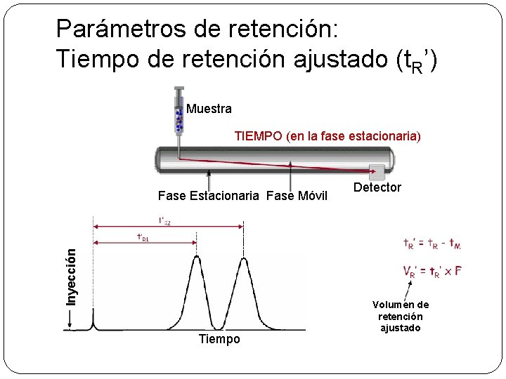 Parámetros de retención: Tiempo de retención ajustado (t. R’) Muestra TIEMPO (en la fase