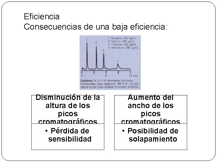 Eficiencia Consecuencias de una baja eficiencia: Disminución de la altura de los picos cromatográficos