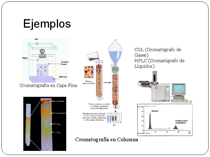 Ejemplos CGL (Cromatógrafo de Gases) HPLC (Cromatógrafo de Líquidos) Cromatografía en Capa Fina Cromatografía