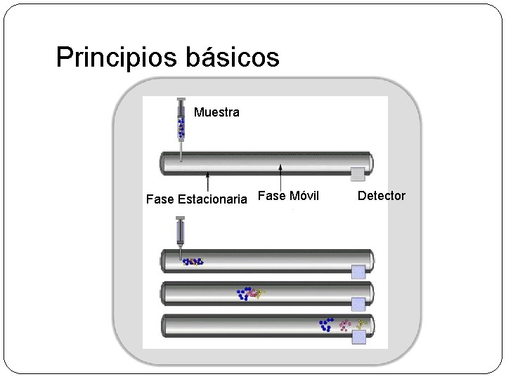 Principios básicos Muestra Fase Estacionaria Fase Móvil Detector 