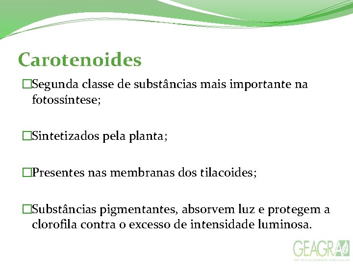 Carotenoides �Segunda classe de substâncias mais importante na fotossíntese; �Sintetizados pela planta; �Presentes nas