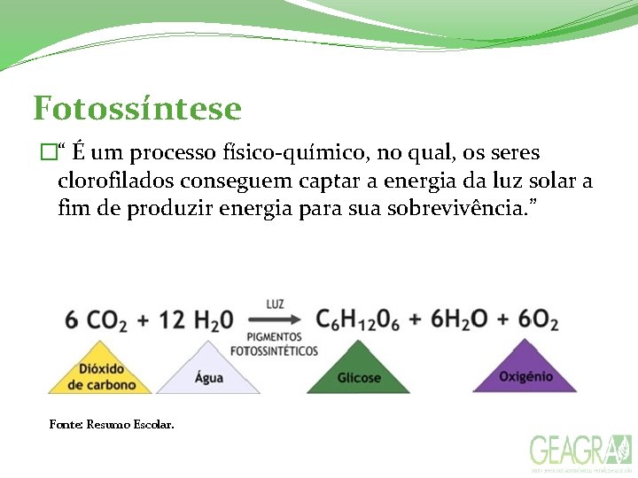 Fotossíntese �“ É um processo físico-químico, no qual, os seres clorofilados conseguem captar a